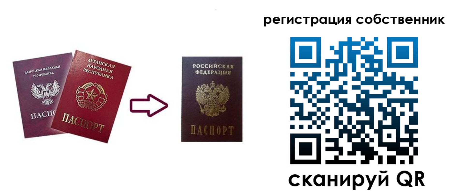 прописка для школы в Волхове